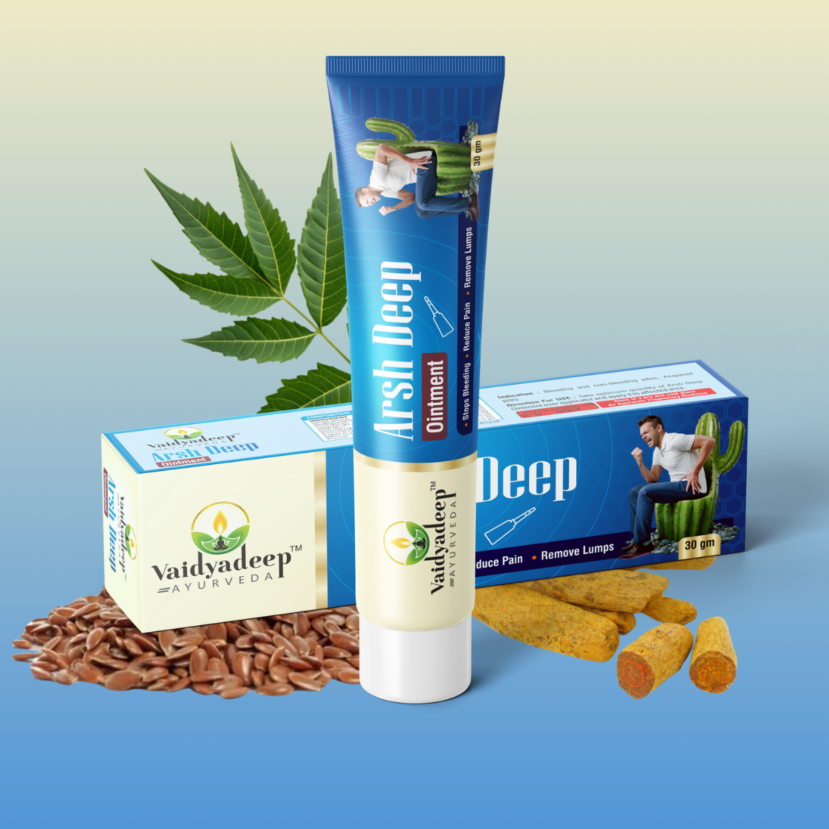 Vaidyadeep Arshdeep Ointment
