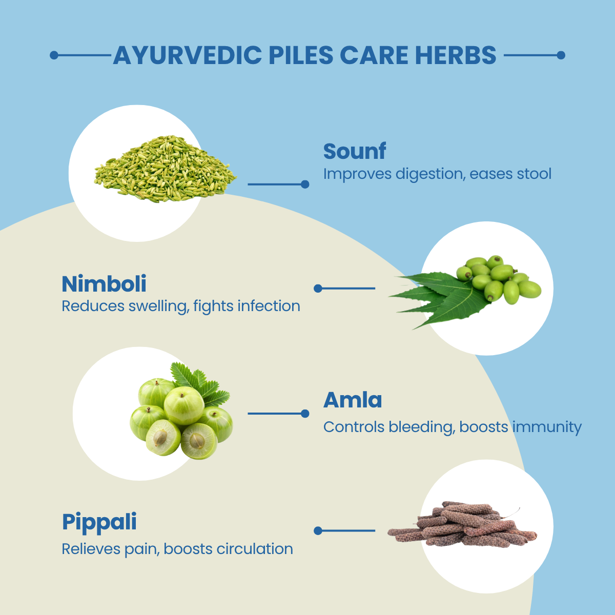 Ayurvedic herbs for piles care used to create Arshdeep Syrup with their benefits on a blue and beige background