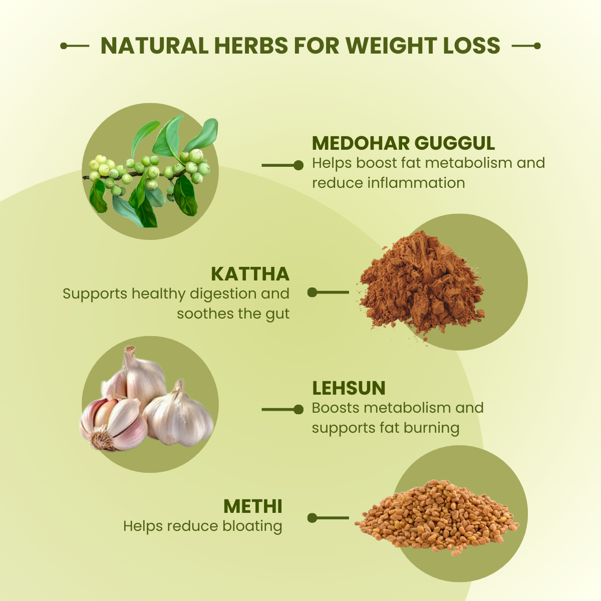 Vaidyadeep Deep Slim Fit Plus, natural herbs for weight loss with their respective benefits on a green background.