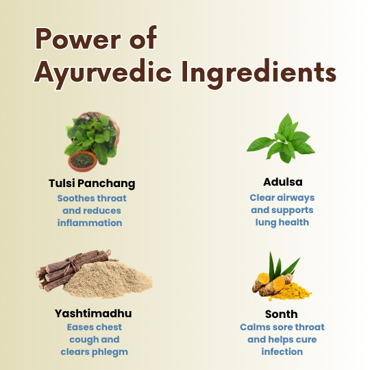 Ayurvedic ingredients with their benefits on a beige background